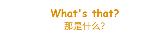 聚光